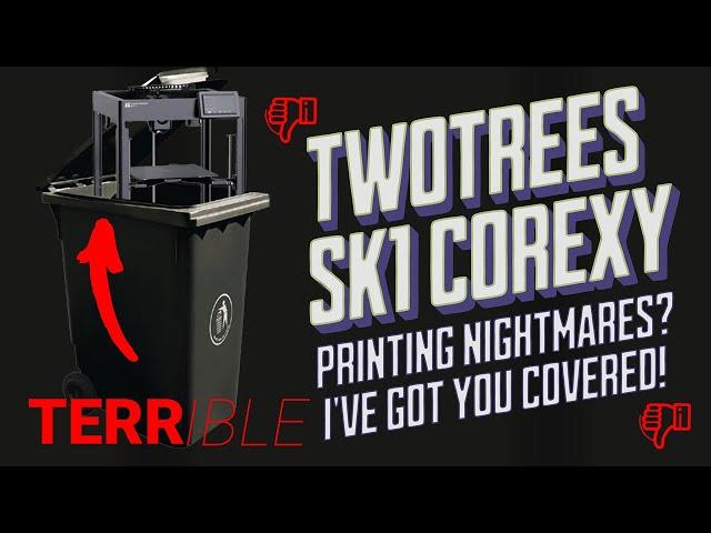 Two Trees SK1 3D Printer - A Root of Many Problems