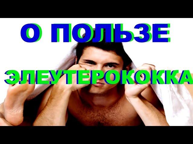 О ПОЛЬЗЕ ЭЛЕУТЕРОКОККА