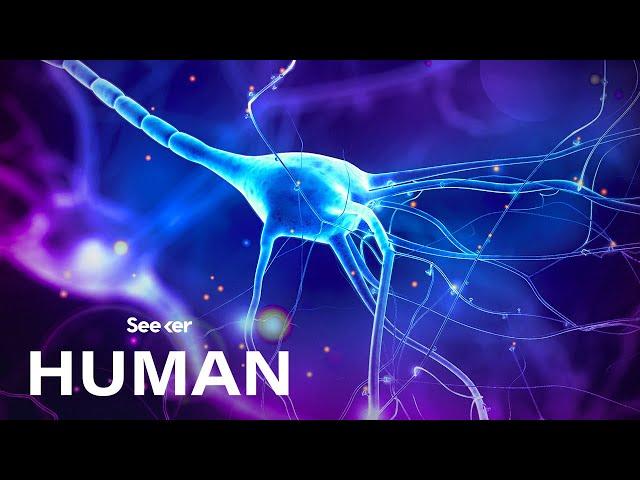 The Hidden Electrical World Inside Your Body