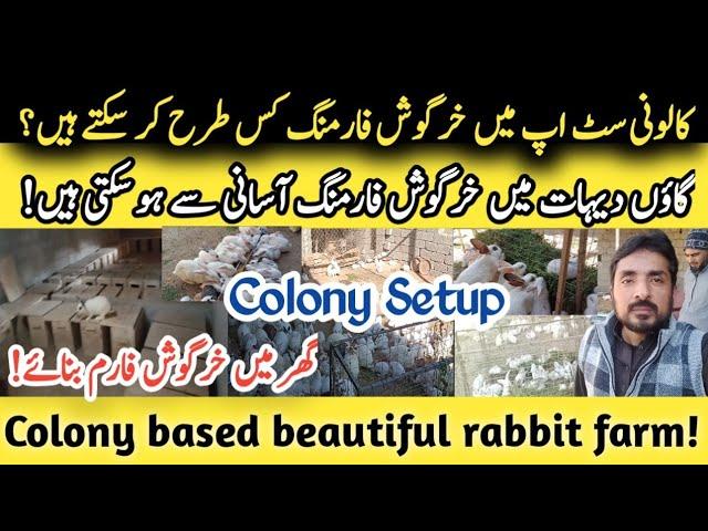 Colony based beautiful rabbit farm!کالونی سٹ اپ میں خرگوش فارمنگ کس طرح کر سکتے ہیں ؟#youtube