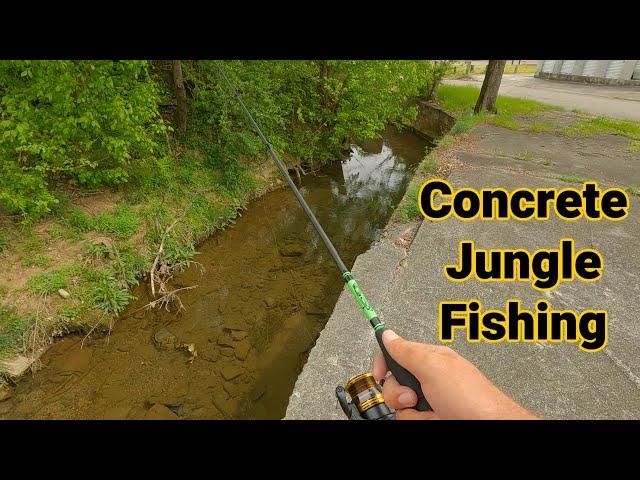 Surprised by Urban Ditch Fishing!!