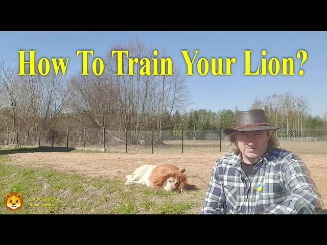 How To Train Your Lion?