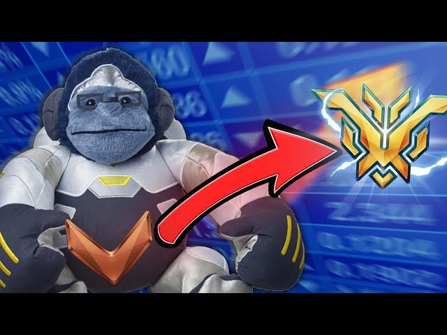 Educational Unranked To TOP500 Winston Only