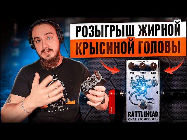 ОБЗОР педали CHAS RattleHead (педаль уже разыграна)