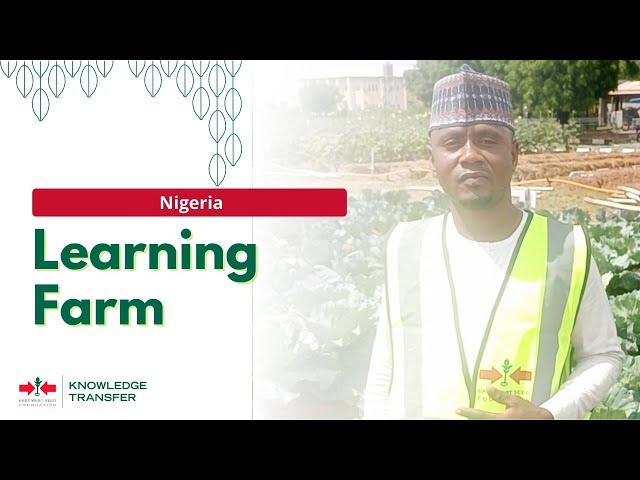 East-West Seed Knowledge Transfer Learning Farm in Nigeria