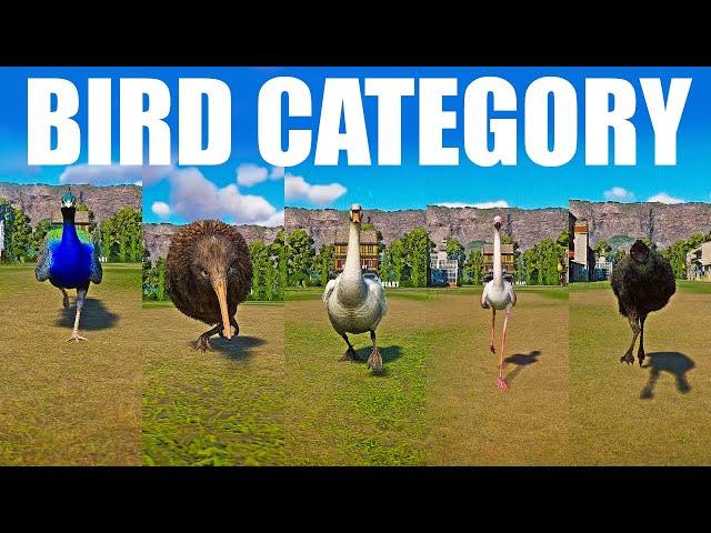 Bird Category Speed Race in Planet Zoo included Kiwi, Emu Swan, Flamingo, Indian Peafowl