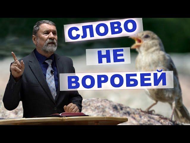 Слово не воробей | Сергей Молчанов