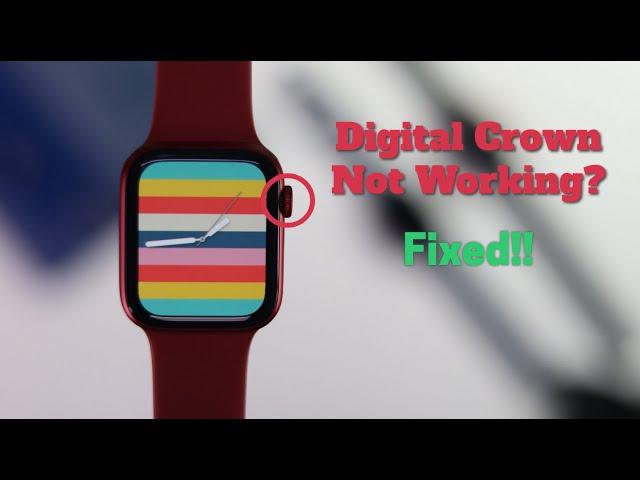 Fixed: Apple Watch Digital Crown Not Working! [Not Scrolling]