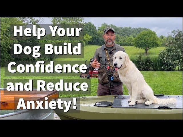 How To Build Confidence & Reduce Anxiety In Fearful and Anxious Dogs