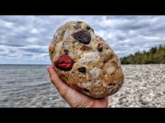 Michigan Rock Hunters Discover Pudding Stone and Petoskey Stone MOTHERLOAD! Great Lakes Rockhounding