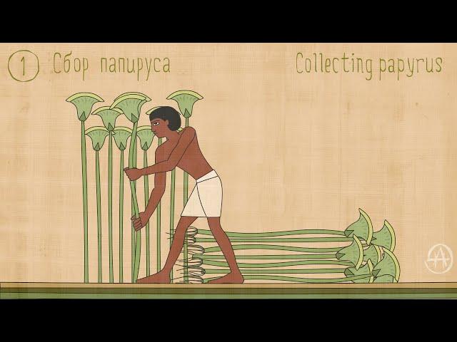 Making papyrus. Изготовление папируса