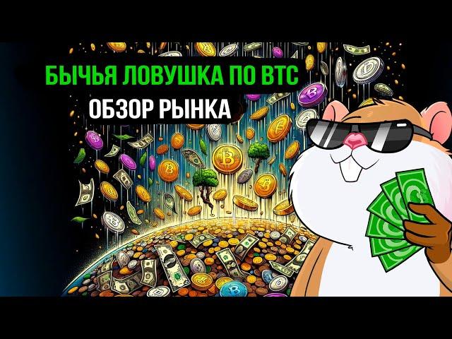 Bitcoin готовится брить лонгистов. На каких альтах сейчас заработать? Обзор рынка