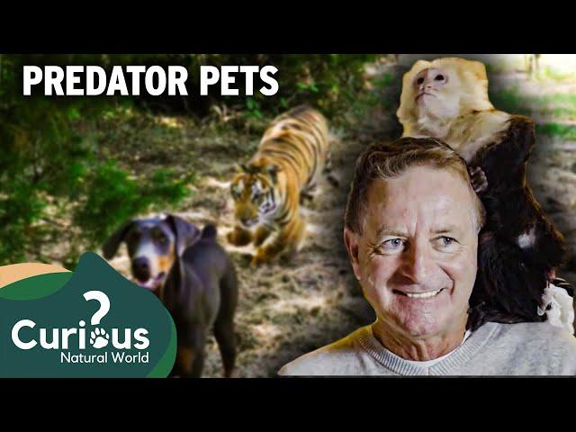 Behind the Chain Fence: Surprising Exotic Pets in Rural Nevada | Predator Pets