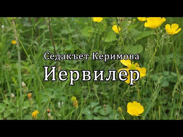 Иервилер. Седакъет Керимова.