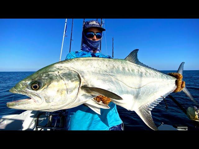 Fishing Leerfish and Unstoppable Tunas | Ebro Delta On Fire 