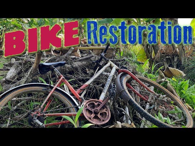 Banana forest found, old and broken bicycle restoration