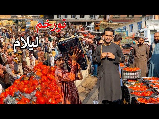 Torkham Gate | bad news | لیلام | افغان میوې او سبزي