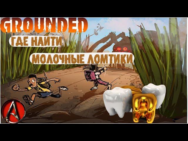 где найти все молочные ломтики (зубы) в grounded 2021 от antish | milk molar