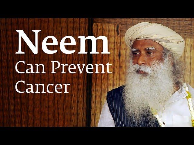 How Consuming Neem Can Prevent Cancer – Sadhguru