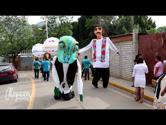 Mono de calenda Rango VS El Guapo