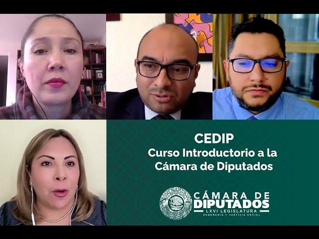 EN VIVO / Curso Introductorio a la Cámara de Diputados