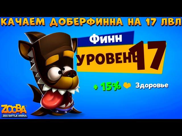 КАЧАЕМ АКУЛУ ФИНН НА 17 УРОВЕНЬ В ИГРЕ ZOOBA