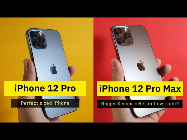 What's the difference? iPhone 12 Pro vs iPhone 12 Pro Max | Camera Comparison - Low Light Test