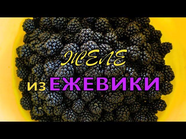 ВКУСНЕЙШЕЕ ЖЕЛЕ из ЕЖЕВИКИ /без ВАРКИ