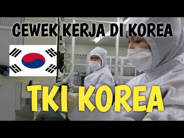 CEWEK KERJA DI KOREA‼️