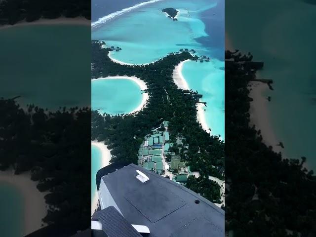 На Земле существует Рай! #мальдивы #Maldives #travelvlog #travel