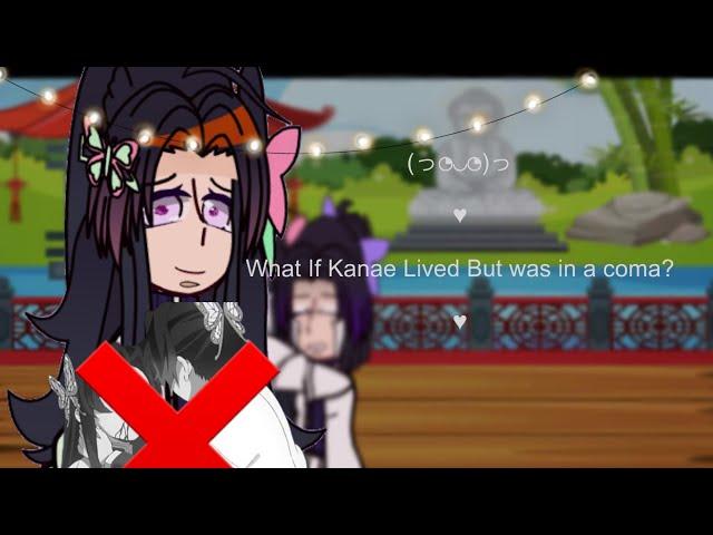 What If Kanae lived But Was In A Coma? [ SaneKana + Sanemi and Genya fluff ]