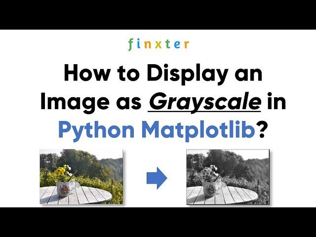 How to Display an Image as Grayscale in Python Matplotlib?