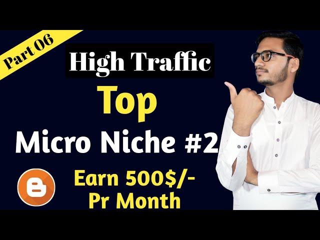 High Traffic Micro Niche 2021 || Micro Niche Blog Ideas