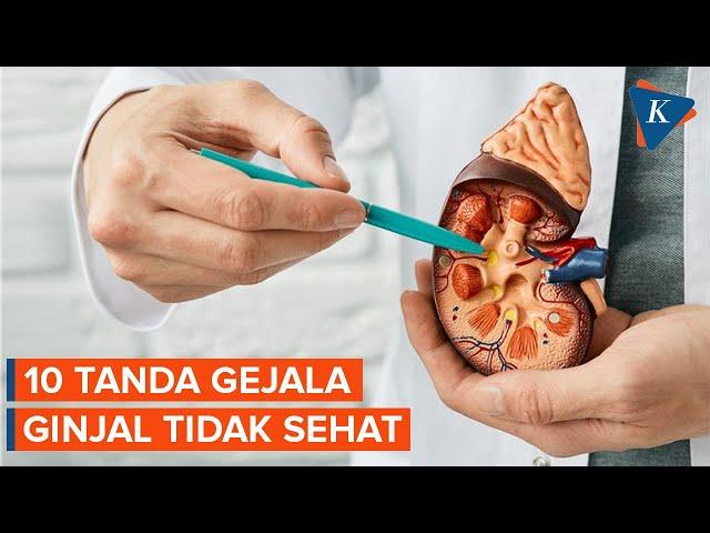 Ketahui Gejala Ginjal yang Tidak Sehat