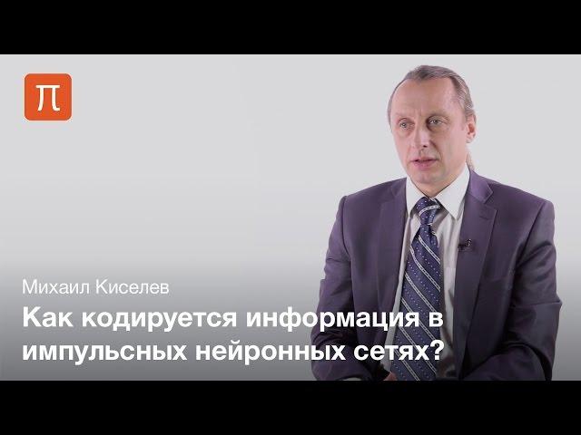 Самоорганизация импульсных нейронных сетей — Михаил Киселев