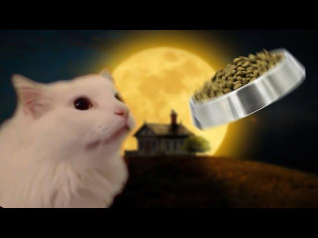 Astronomia - Coffin Dance Meme - Cat Cover #4