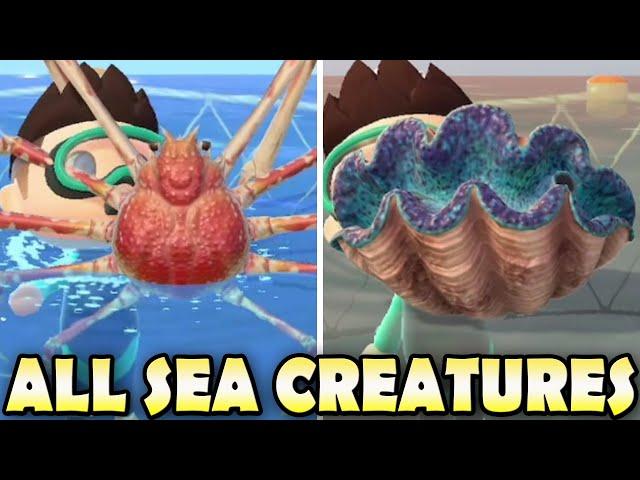  ALL 40 SEA CREATURES & How To find Them In Animal Crossing New Horizons! (Northern & Southern)