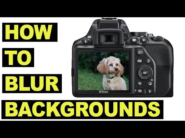 How To Blur Backgrounds - Depth of Field for beginners - Bokeh made easy!