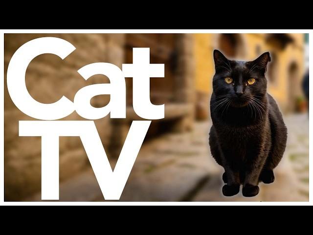 CAT TV - 16 Hour Entertainment Video for Cats to Watch | Help with Cat Anxiety and Stress!