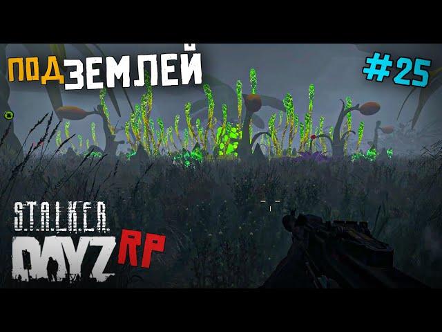 ПУТЬ ПОД ЗЕМЛЮ. DAYZ STALKER RP 25 серия