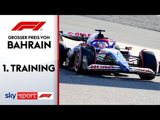 Überraschung in den Top 5! | 1. Freies Training | Großer Preis von Bahrain | Formel 1