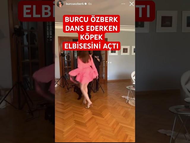 Burcu özberk dans ederken köpek bakın ne yaptı #magazin #shortsvideo