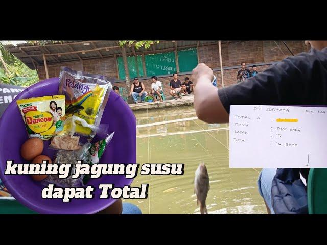 Umpan kuning jagung susu super mantap, ikannya makanin banget