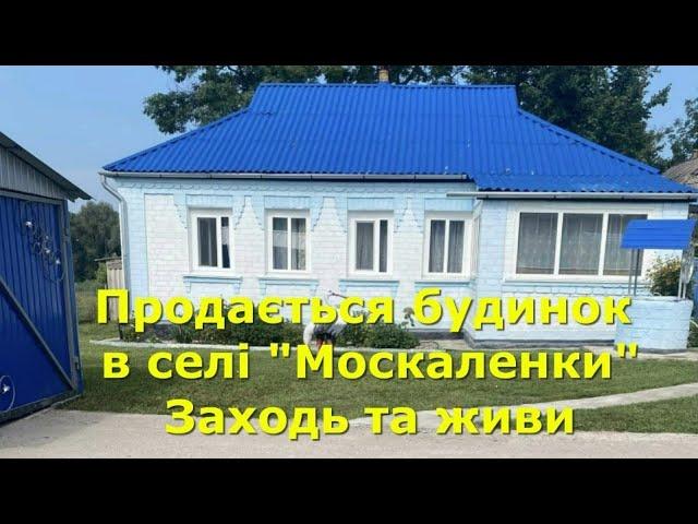 БУДИНОК ПРОДАМ В СЕЛІ "МОСКАЛЕНКИ", ЗАХОДЬ І ЖИВИ / ОГЛЯД /  Київська обл, Богуславський р-н