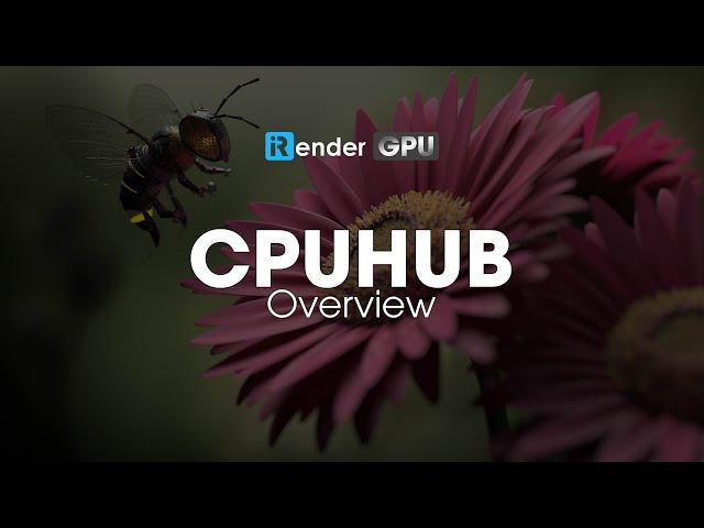 CPUHUB Overview | Powerful Render Farm Service | iRender Cloud Rendering