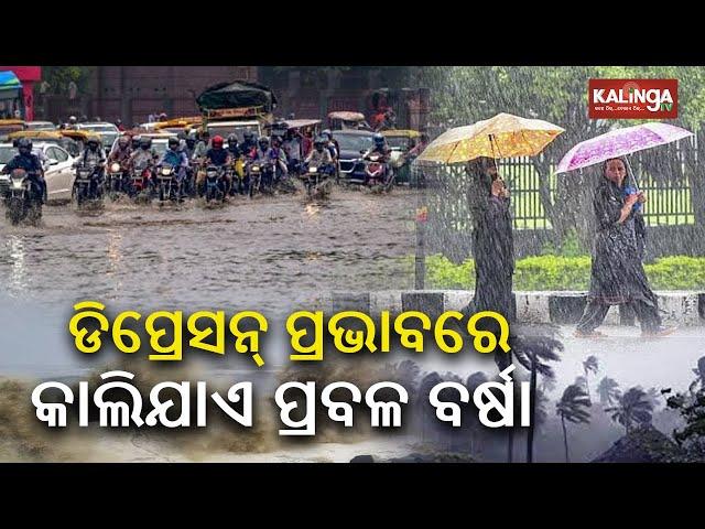 ଆଜିର ଖବର || Ajira Khabar || 7 PM News Bulletin || 31 August 2024 || Kalinga TV