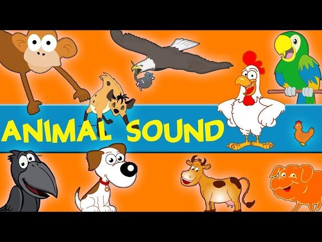 Animals Sounds | Sounds of the Animals Song | Learn Animal and Sounds of Animals