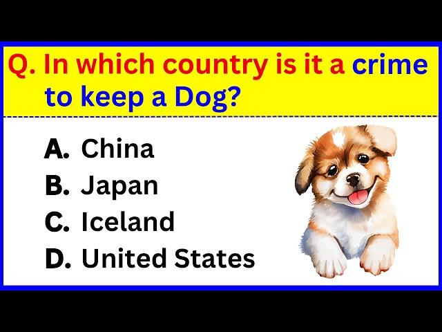 General Knowledge Trivia Quiz | 30 Questions Everyone Should Know! 