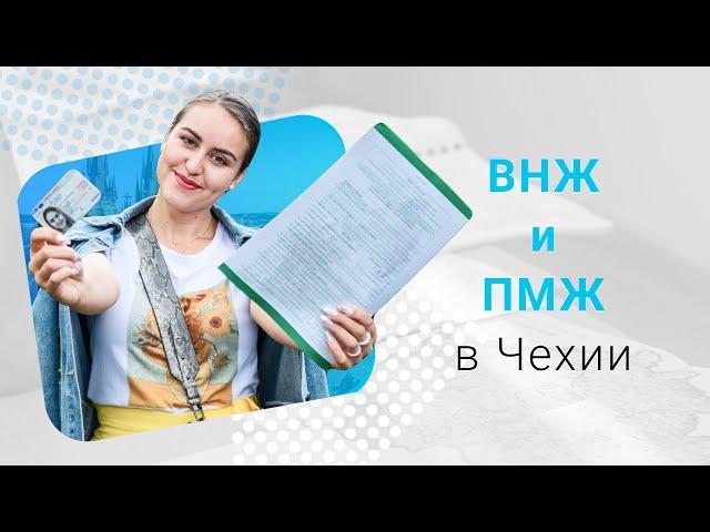 Долгосрочная виза, ВНЖ и ПМЖ в Чехии: что необходимо знать студентам?