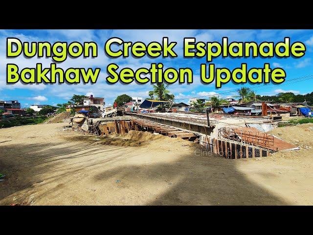 Iloilo City - Dungon Creek Esplanade - Bakhaw Section Update (01/07/2025)